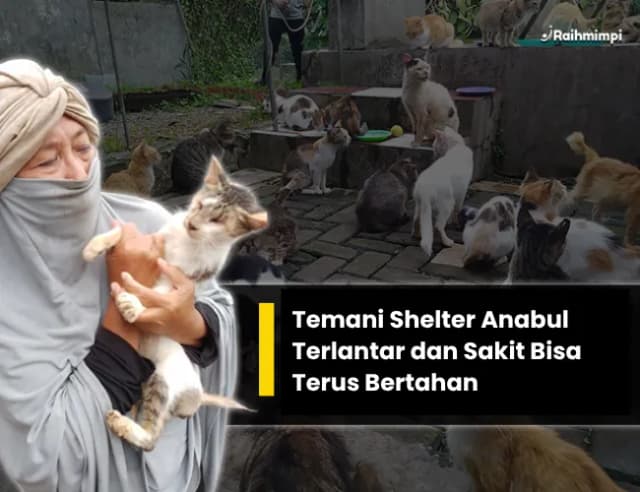 Bantu Anabul Sakit Terlantar untuk Terus Bertahan